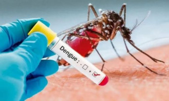 Mortes por dengue aumentaram 70% neste ano em MT