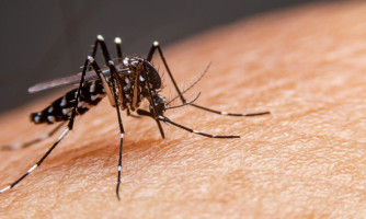 MT tem alta de mortes pela dengue; 96 cidades com risco alto