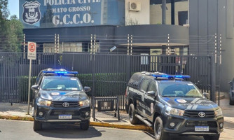 Mulher que ficaria com recém-nascido é presa e confessa envolvimento com adoção á brasileira