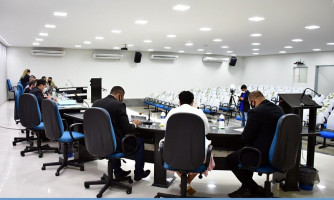 ‘’Não tenho autonomia para cobrar sobre aglomeração’’ afirma vereador que participou de ato pró-Bolsonaro em Brasília