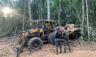 Operação Amazônia desmobiliza extração ilegal de madeira na Estação Ecológica Rio Ronuro