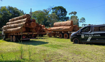Operação da Polícia Civil apreende cargas ilegais de madeiras em duas empresas em MT