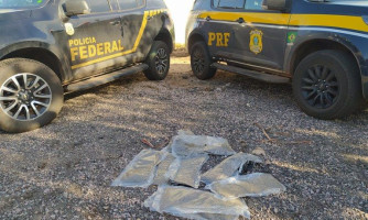 Operação integrada entre PRF e PF resulta em apreensão de Skunk