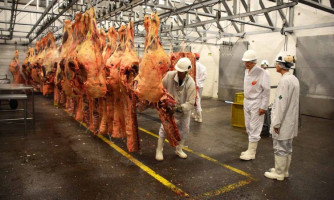 Paralisações em frigoríficos causam preocupações em produtores