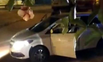 PM desarticula quadrilha especializada em roubo em Curvelândia