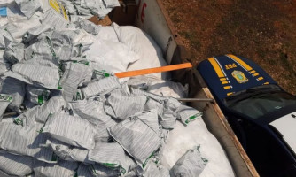 Polícia apreende 2 toneladas de agrotóxicos do Paraguai em MT