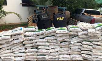 Polícia Civil apreende 19 toneladas de defensivos agrícolas furtados ou contrabandeados em MT