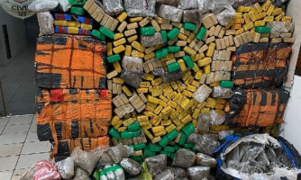 Polícia Civil apreende 690 quilos de maconha e skunk armazenados em casa-cofre