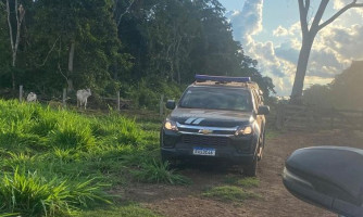 Polícia Civil cumpre buscas para identificar responsável pela decapitação de filhotes de onça-pintada