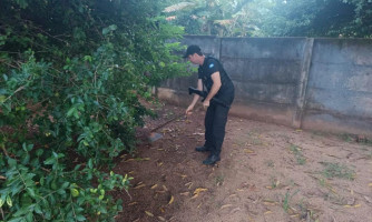 Polícia Civil cumpre mandados contra faccionados envolvidos em tortura, homicídio e ocultação de cadáver em MT
