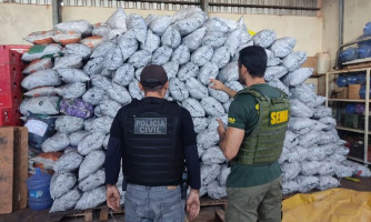 Polícia Civil e Sema deflagram operação de combate à extração ilegal de carvão em MT