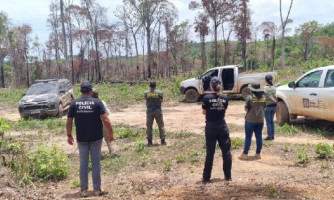 Polícia Civil e Sema intensificam o combate ao desmatamento e extração ilegal de madeira no norte do estado