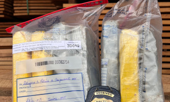 Polícia Civil incinera cerca de 40 quilos de droga em Aripuanã