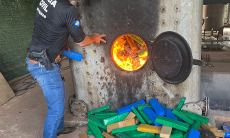 Polícia Civil incinera cerca de uma tonelada de maconha apreendida em MT