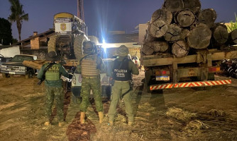 Polícia Civil prende seis pessoas por crimes ambientais em Mato Grosso
