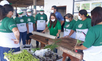 Pontes e Lacerda: Aura Apoena oferece Oficina de Horta Vertical aos moradores