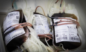 População pode acessar estoque de bolsas de sangue do MT Hemocentro