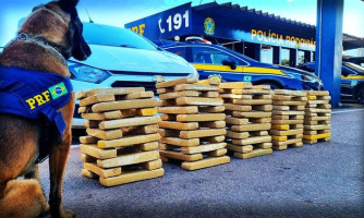 PRF apreende 113 kg de maconha em Mato Grosso