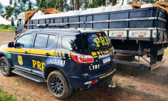 PRF apreende carga de agrotóxicos transportados ilegalmente