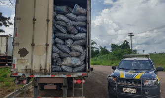 PRF apreende carga de carvão vegetal com documentação irregular em Pontes e Lacerda