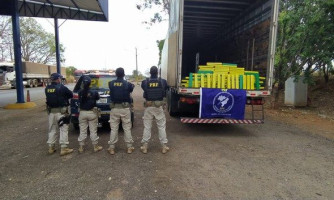 PRF apreende mais de 100 kg de maconha escondidas em carreta em MT