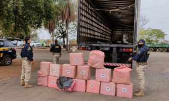 PRF apreende quase meia tonelada de cocaína em MT