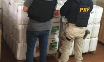 Quatro toneladas de defensivos irregulares são apreendidas no sul do estado