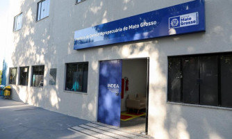Registro da marca de fogo no Indea garante segurança e rastreabilidade