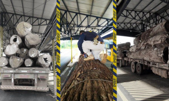 Transporte ilegal de madeira e excesso de peso em Pontes e Lacerda