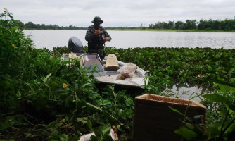 Três homens são presos com 61 quilos de pescado irregular no Rio Paraguai