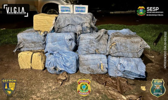 Veja o vídeo: PF apreende 400 kg de cocaína em embalagem com selo “Covid”