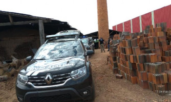 Vila Bela: Drogas apreendidas por forças de segurança são incineradas pela Polícia Civil na fronteira