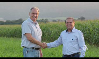 Uma boa contabilidade rural ajuda o agronegócio a estruturar estratégias para garantir os melhores resultados