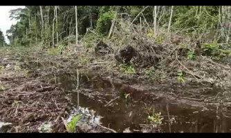 Polícia Federal em Cáceres (220 km de Cuiabá) fez a apreensão de 400 kg de cocaína que estavam embalados em um plástico escrito “Covid”