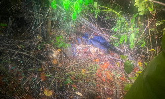 Pescador encontrada ossada humana às margens de rio em MT