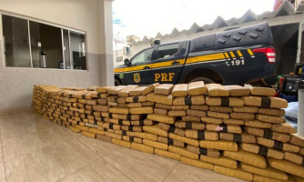 Caminhoneiro é preso com 224 kg de skank em rodovia