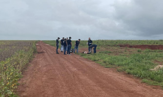 Mulher é encontrada morta ao lado de plantação de soja em Campo Novo