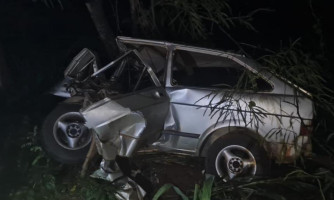 Motorista morre ao atropelar anta e carro sair da pista