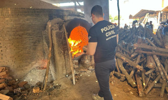 Polícia Civil incinera mais de 200 quilos de entorpecentes  em Pontes e Lacerda