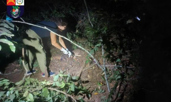 FEMINICÍDIO: Mulher é morta e assassino esconde corpo no meio da mata