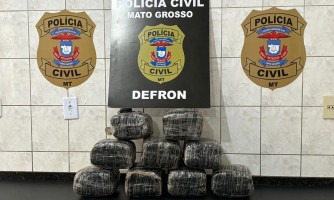 Polícia Civil prende casal que despachou 9 tabletes de maconha por meio de transportadora em Cáceres