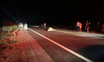 Motociclista fica ferido após bater em vaca na estrada do matão