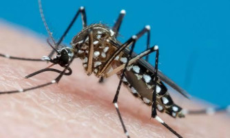 Pontes e Lacerda, Cuiabá, Tangará da Serra lideram mortes por dengue e chikungunya em MT