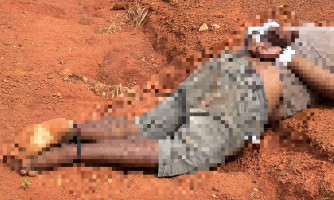 Homem é encontrado morto com mãos e pés amarrados em Pontes e Lacerda