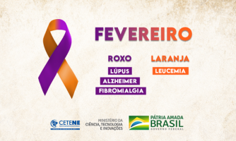 Campanha fevereiro roxo e laranja
