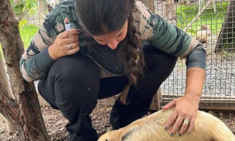 Sema abre cadastro para quem deseja ser guardião de animais silvestres; saiba como se inscrever