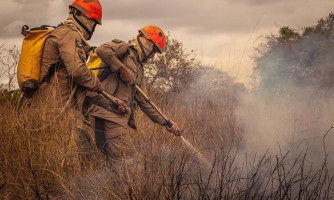 Governo de MT lança Plano de Ação de Combate ao Desmatamento Ilegal e Incêndios Florestais nesta quinta-feira (27)