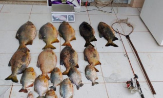 Ação do Juizado Volante Ambiental em Cáceres resulta em apreensão de pescado irregular