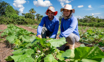 Governo de Mato Grosso  investiu R$ 720 milhões na agricultura familiar