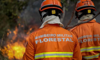 Uso do fogo em área do Pantanal está proibido a partir deste domingo (1º)